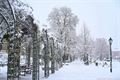 sníh v Plzni_1223_Milan Svoboda (11)