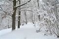 sníh v Plzni_1223_Milan Svoboda (15)