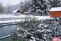 DSC00175