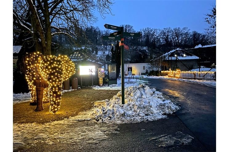 plzen zoo slon sviti