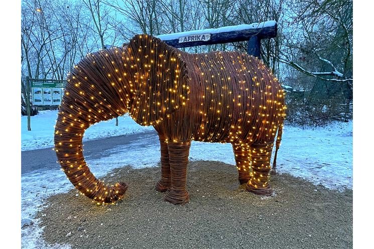 zoo slon zoo slon