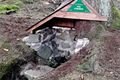 studánky nové v Brdech_23_VLS (1)