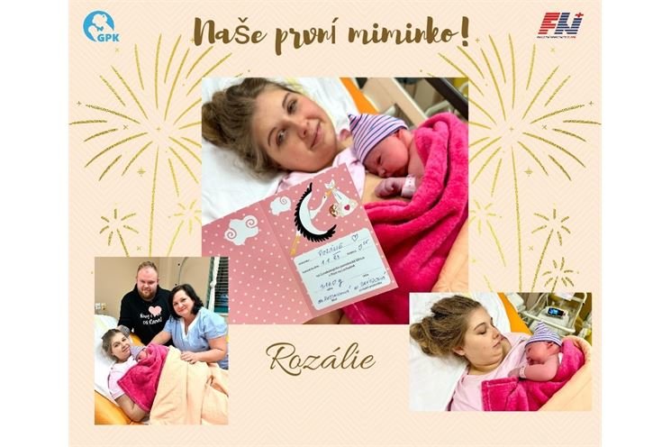 rozálie foto FN PLZEN rozálie foto FN PLZEN