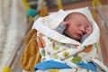 První novorozenec Klatovy_2024_Klatovská nemocnice (1)