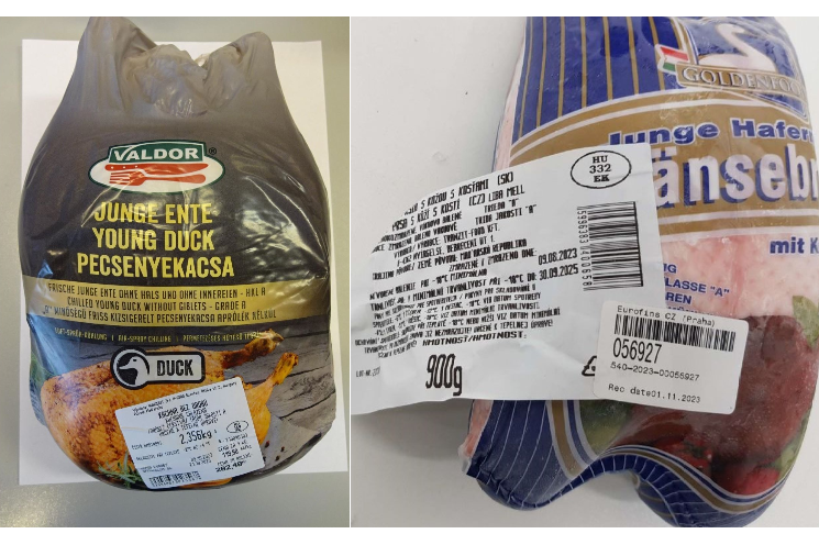 Kusa a kachna_salmonela_SZPI Kusa a kachna_salmonela_SZPI