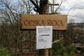 Česká řeka v plzeňské ZOO 1