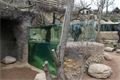 Česká řeka v plzeňské ZOO