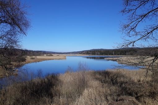 Padrťské rybníky 1 foto Klára Růžková Padrťské rybníky 1 foto Klára Růžková