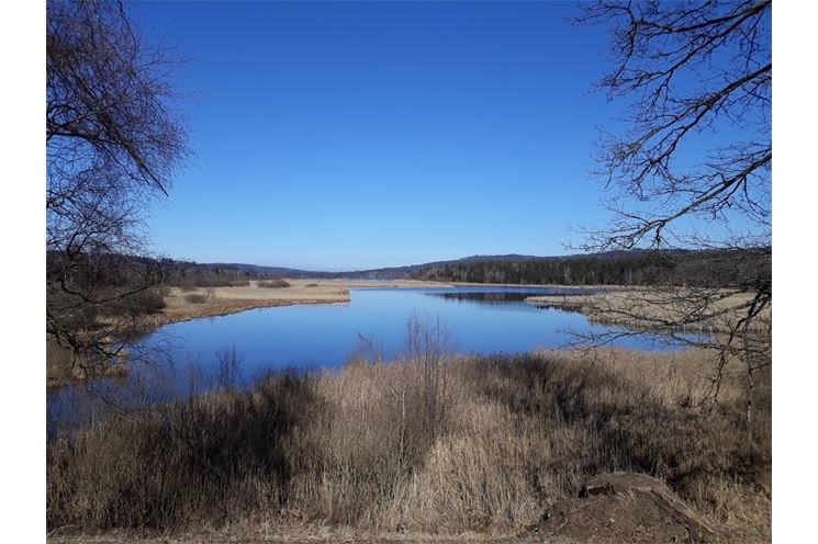 Padrťské rybníky 1 foto Klára Růžková