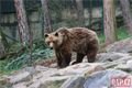 Medvědi probuzení zoo Plzeň_0324_QAP (13)
