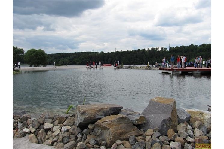 IMG_3264 IMG_3264
