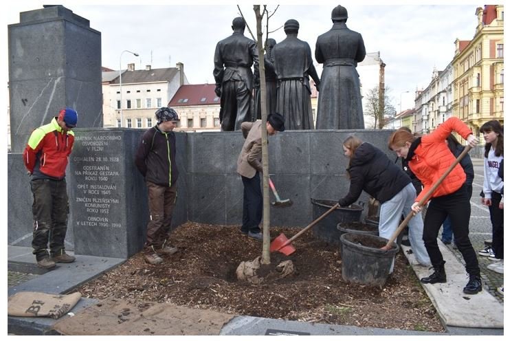 Lípa Masarykovo náměstí_0424_MMP (3)