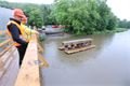 240524_sus_022_Borovy