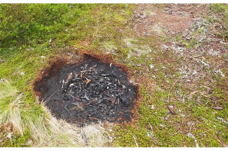 ohniště_NP Šumava ohniště_NP Šumava
