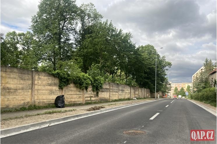 Jasmínová foto QAP2