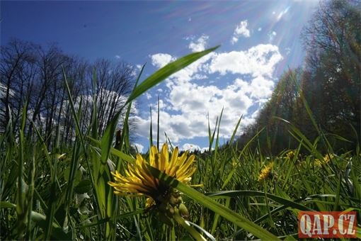 DSC06433 DSC06433