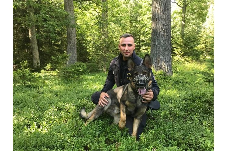 policejní pes Miky_0624_PČR policejní pes Miky_0624_PČR