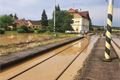 voda Blížejov 270624_Datel síť X (4)