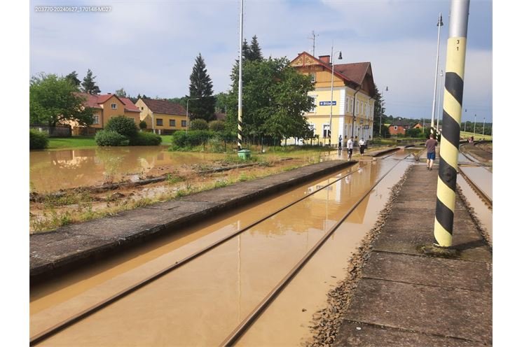 voda Blížejov 270624_Datel síť X (4)