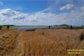 požár kombajn a pole Líšťany_0724_HZSPK (2)