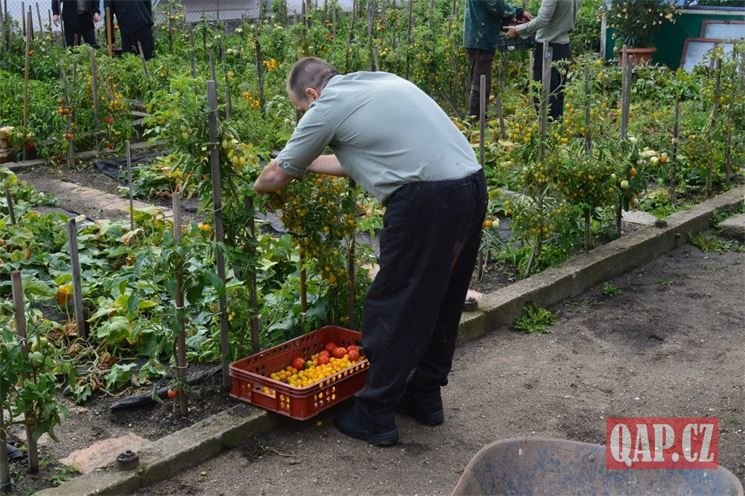 exkluzivní fotky věznice Bory_0724_QAP (7)