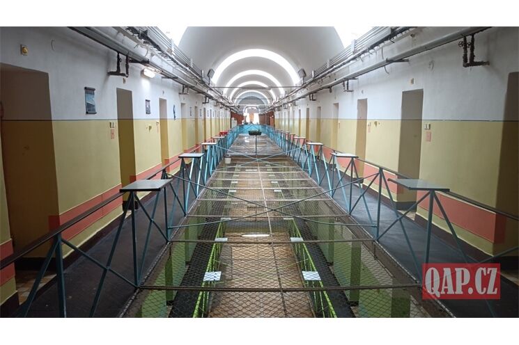 exkluzivní fotky věznice Bory_0724_QAP (10)
