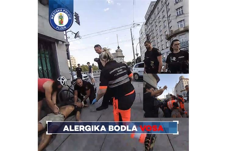 Muž bodnutí hmyzem_0724_MPP