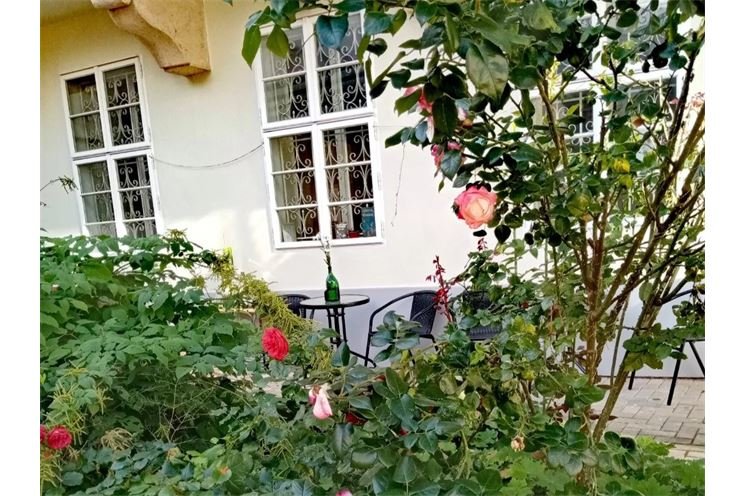 letní čítárna Městská knihovna Rokycany_0824_Městská knihovna Rokycany (1)