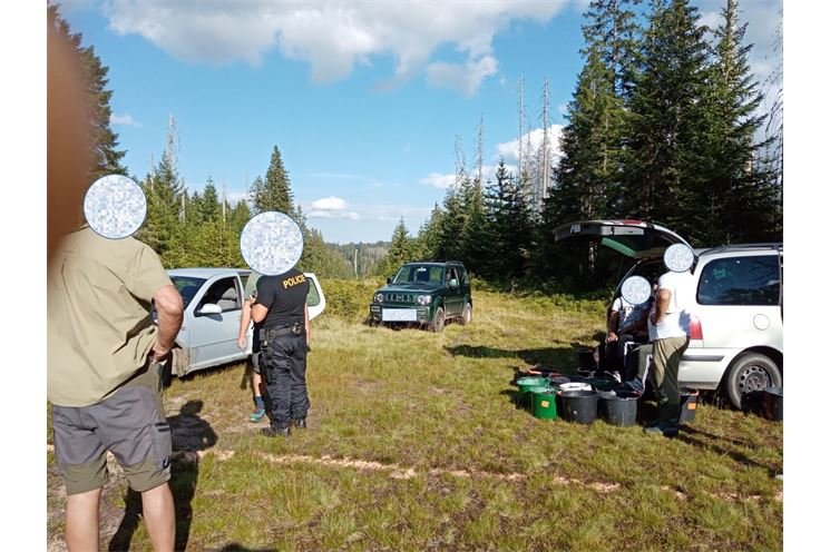 bezohlední sběrači borůvek_0824_NP Šumava (4)