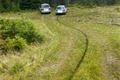 bezohlední sběrači borůvek_0824_NP Šumava (3)
