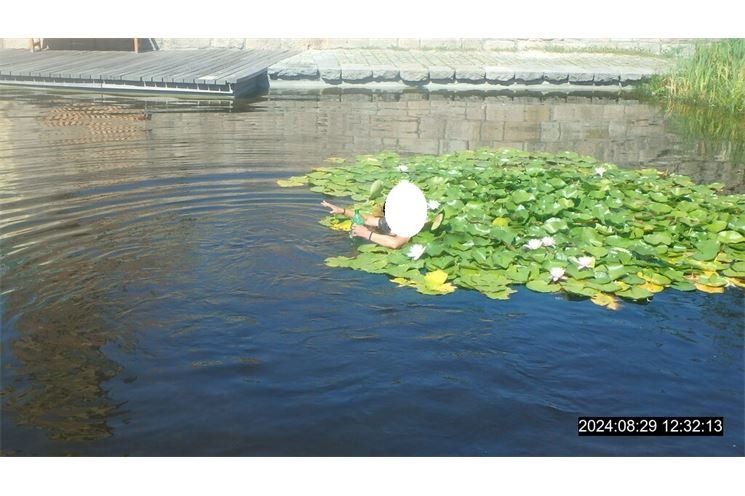 plav (002) (002) plav (002) (002)