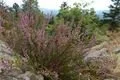 DSCN1646