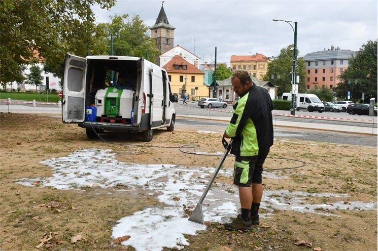 hubení plevele v centru Plzně_0924_MMP (1)