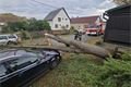 Spadlý strom, foto SDH Horšovský Týn