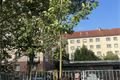 děti zasadily třešeň_0924_MO3 (2)