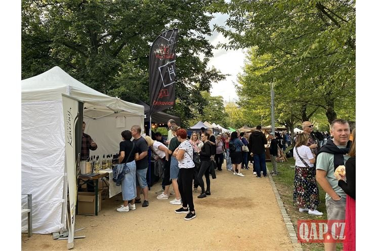 Doubravecké slavnosti vína_0924_QAP (17)