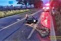 2OA mo_Olympia_0924_HZSPK (2)