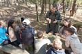 Den lesa_0924_město Plzeň (1)