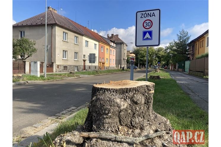 Rekonstrukce kapitana jarose foto QAP (11)