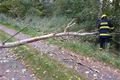 hasiči stromy 10_10_24_Planice