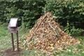 IMG-20241022-WA0006