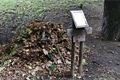 IMG-20241022-WA0005