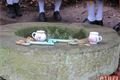 Česká studánka zamykání _ foto QAP (17)