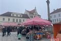 Svatomartinské trhy_Horažďovice_1124_QAP (12)