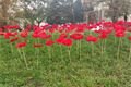 V Plzni se vzpomínalo na válečné veterány_1124_Milan Svoboda (4)