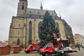Vánoční strom Plzeň zdobení_1124_Milan Svoboda (2)