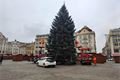 Vánoční strom Plzeň zdobení_1124_Milan Svoboda (5)