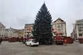 Vánoční strom Plzeň zdobení_1124_Milan Svoboda (5)