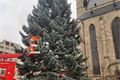 Vánoční strom Plzeň zdobení_1124_Milan Svoboda (3)
