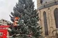 Vánoční strom Plzeň zdobení_1124_Milan Svoboda (3)